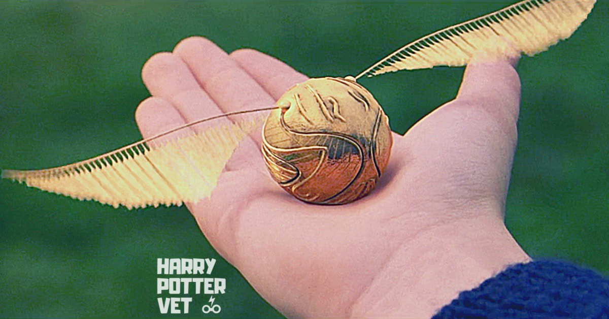 Harry Potter Golden Snitch Nail Art - wide 2