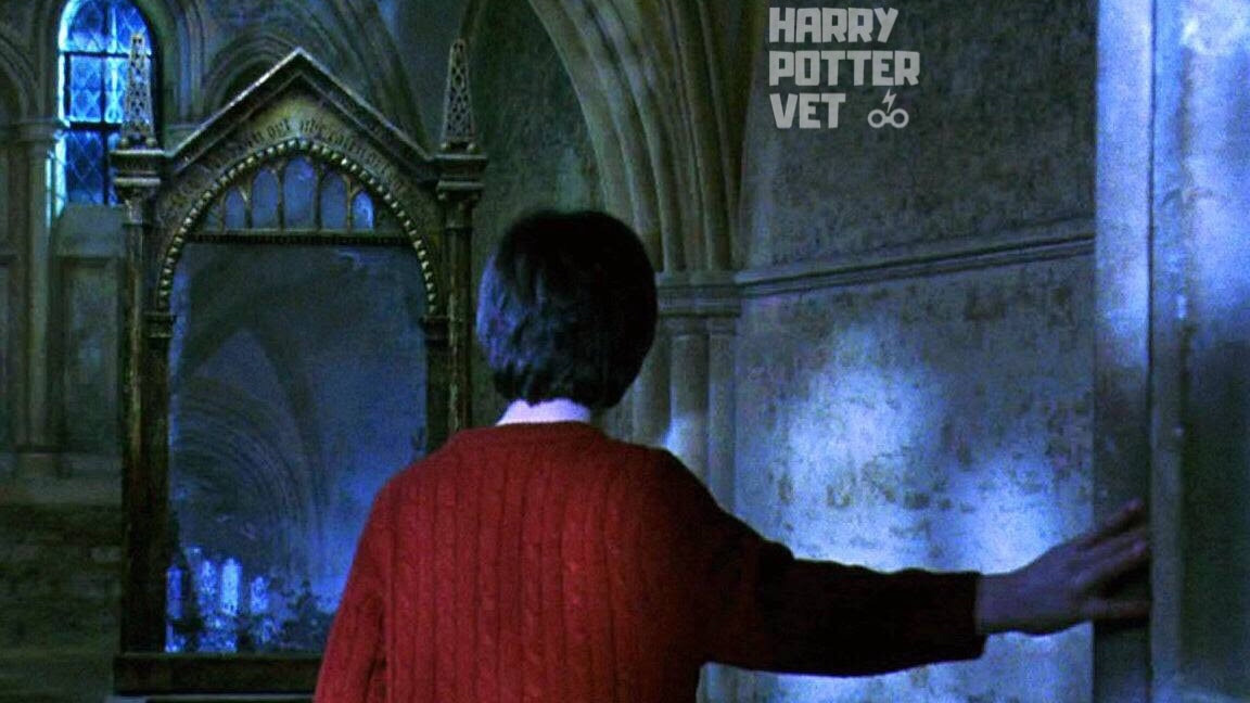 Mirror of Erised: Managing Veterinary Dreams - Harry Potter Vet
